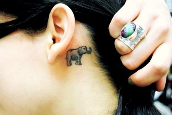 tatuaggio elefante 558