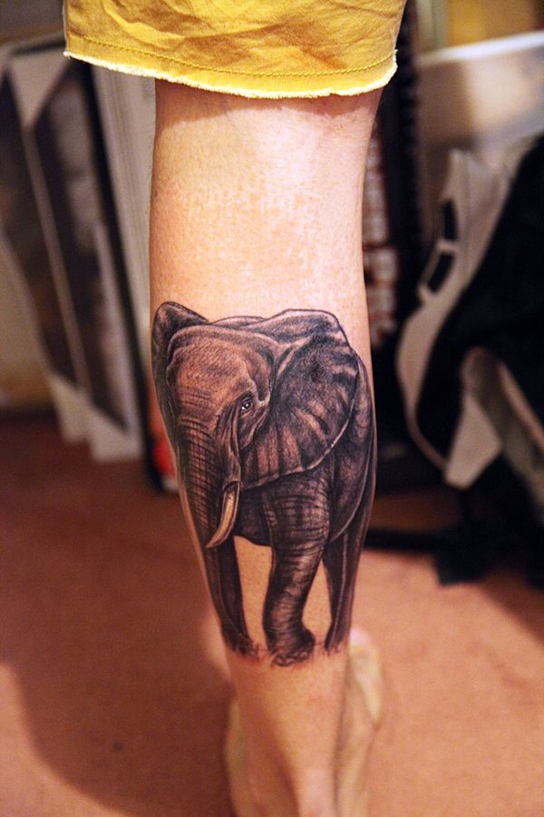tatuaggio elefante 597