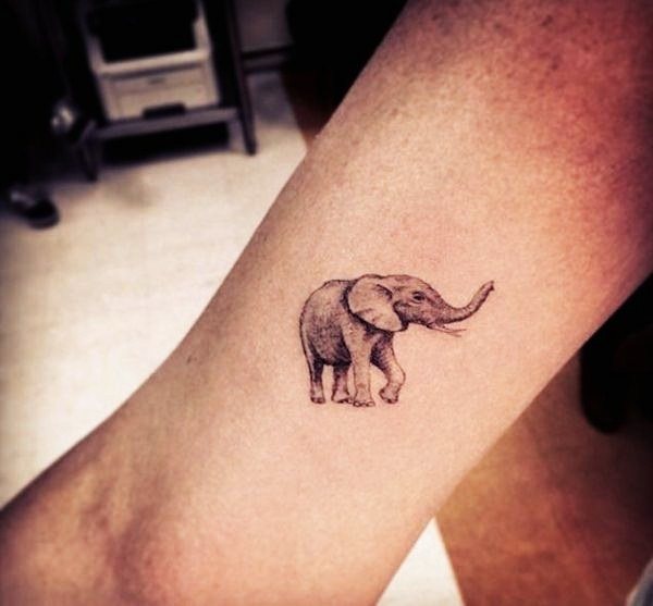 tatuaggio elefante 610