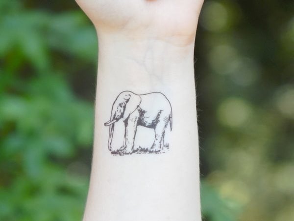 tatuaggio elefante 740