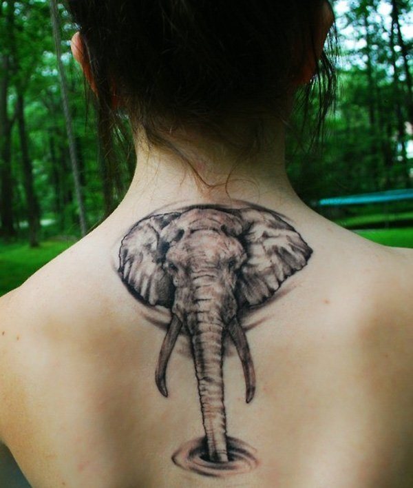 tatuaggio elefante 805