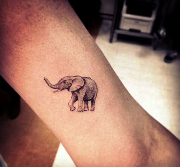 tatuaggio elefante 857