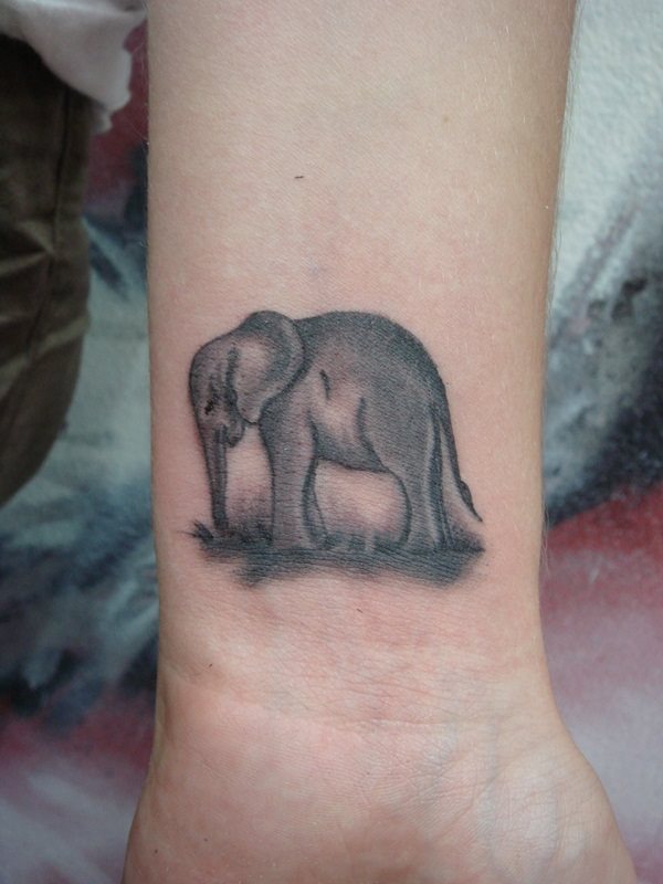 tatuaggio elefante 896