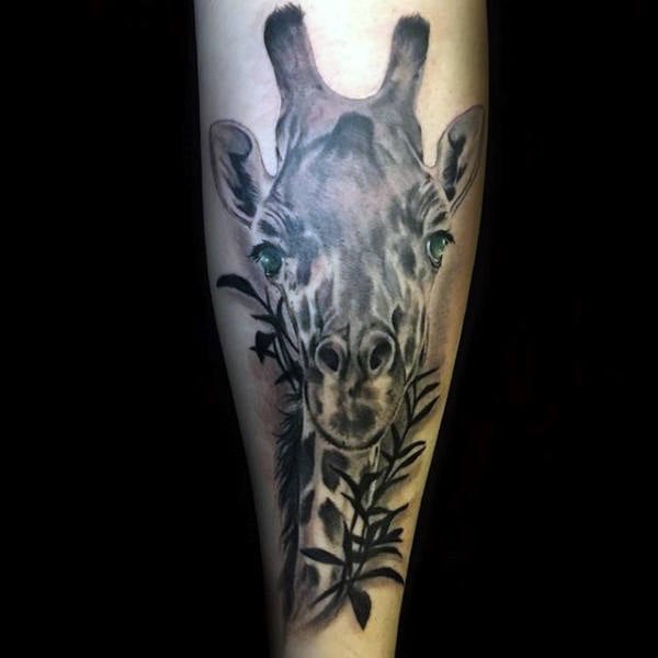 tatuaggio giraffa 36