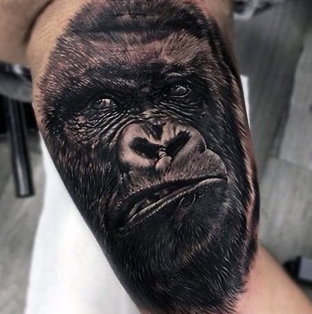 tatuaggio scimmia 286
