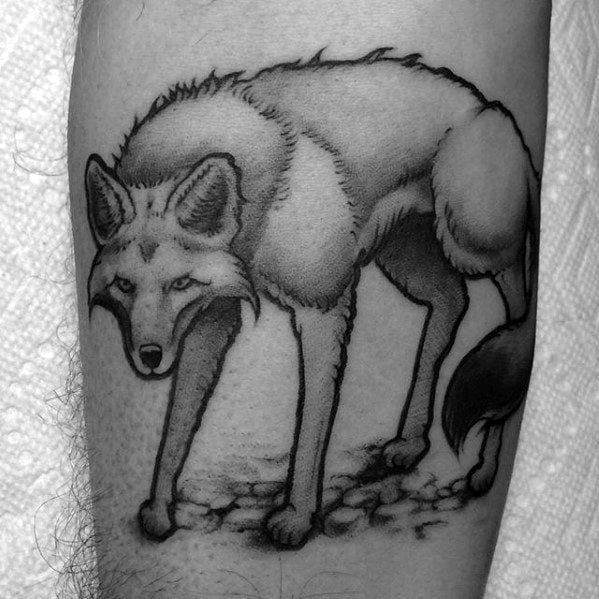 tatuaggio coyote 71