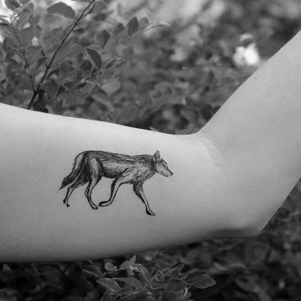 tatuaggio coyote 75