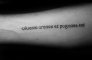 tatuaggio in latino 66