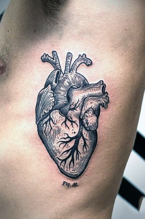 tatuaggio cuore anatomico 17