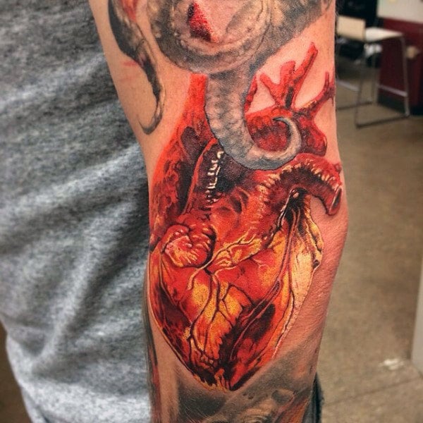 tatuaggio cuore anatomico 25