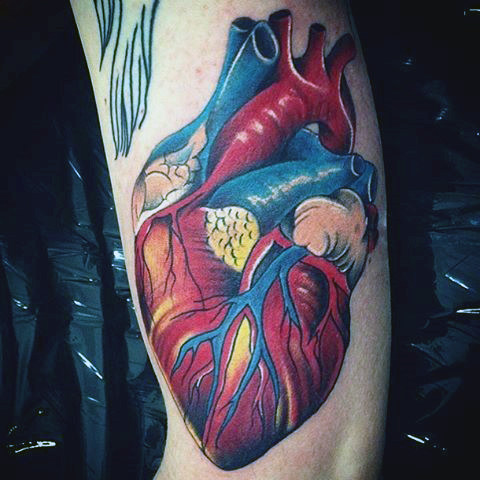 tatuaggio cuore anatomico 83