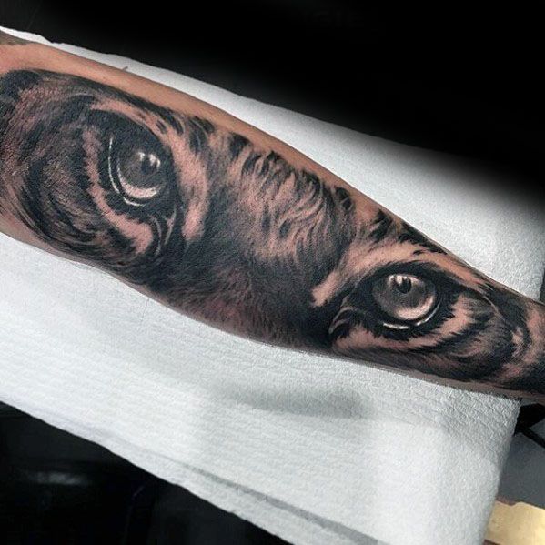 tatuaggio occhi di tigre 51
