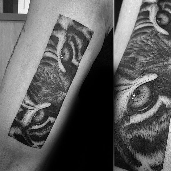 tatuaggio occhi di tigre 61