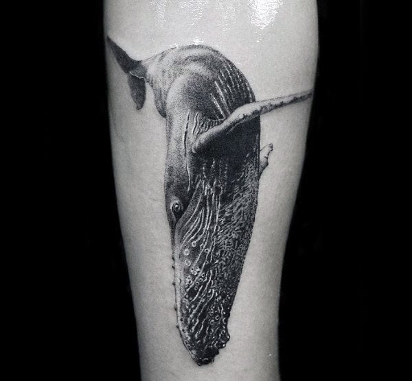 tatuaggio balena 157