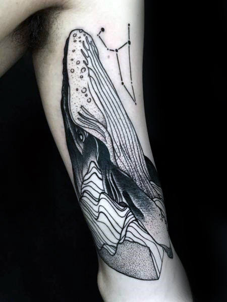 tatuaggio balena 35