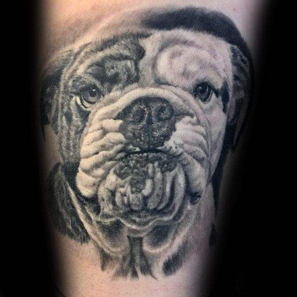 tatuaggio bulldog 02