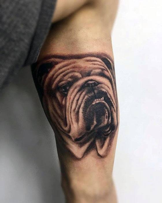 tatuaggio bulldog 50