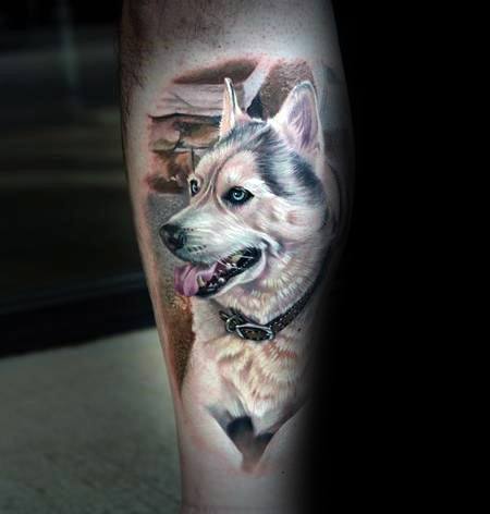tatuaggio Siberian husky 07