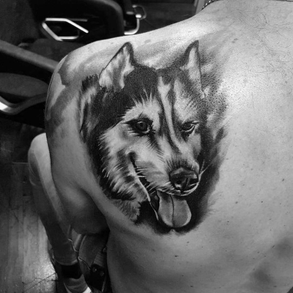 tatuaggio Siberian husky 105