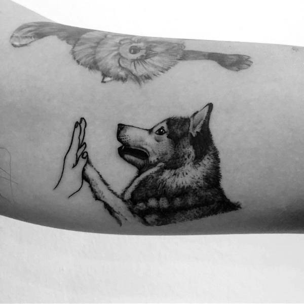 tatuaggio Siberian husky 107