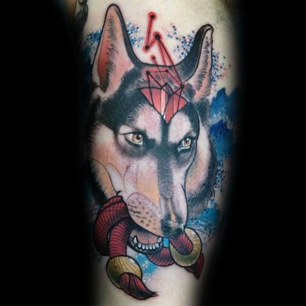 tatuaggio Siberian husky 115