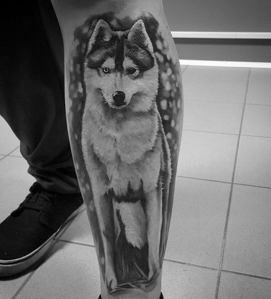 tatuaggio Siberian husky 129