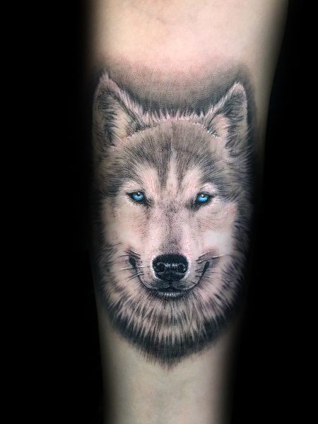 tatuaggio Siberian husky 135