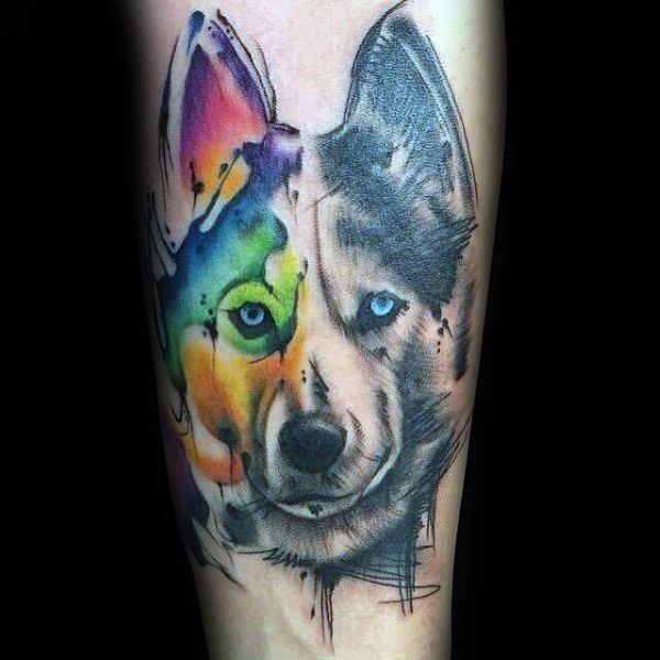 tatuaggio Siberian husky 147