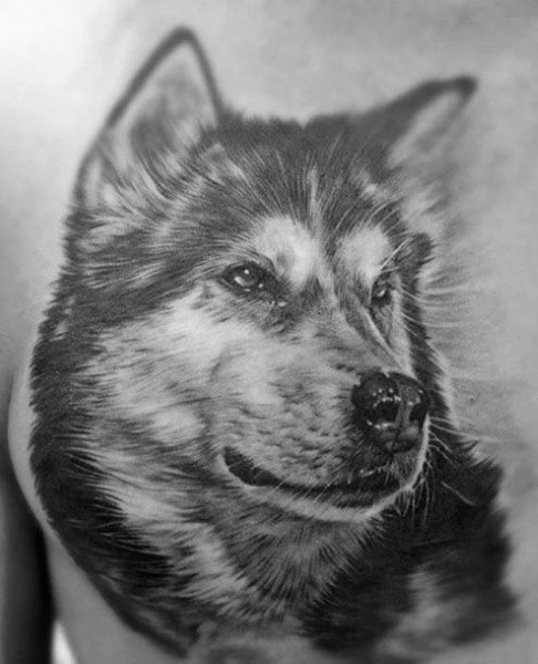 tatuaggio Siberian husky 15