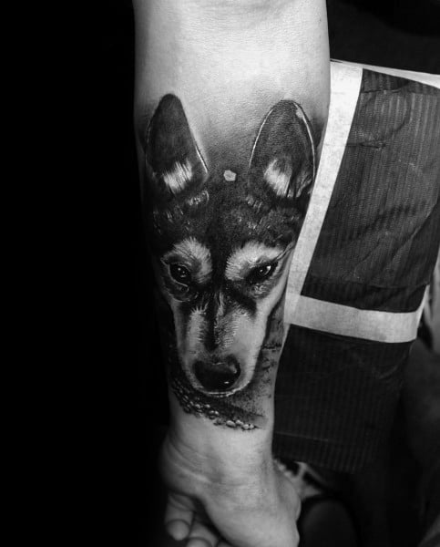 tatuaggio Siberian husky 31