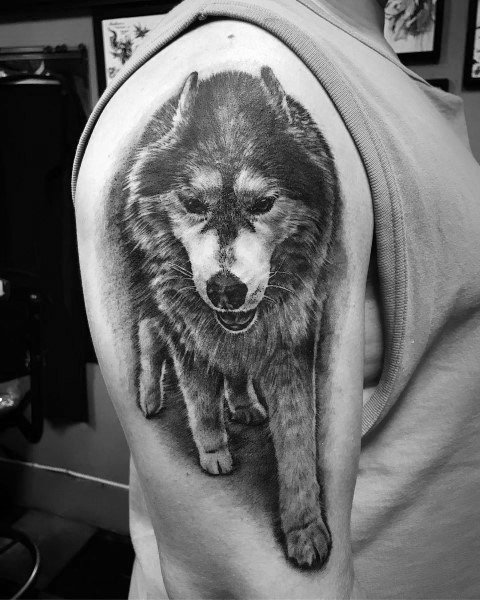 tatuaggio Siberian husky 37