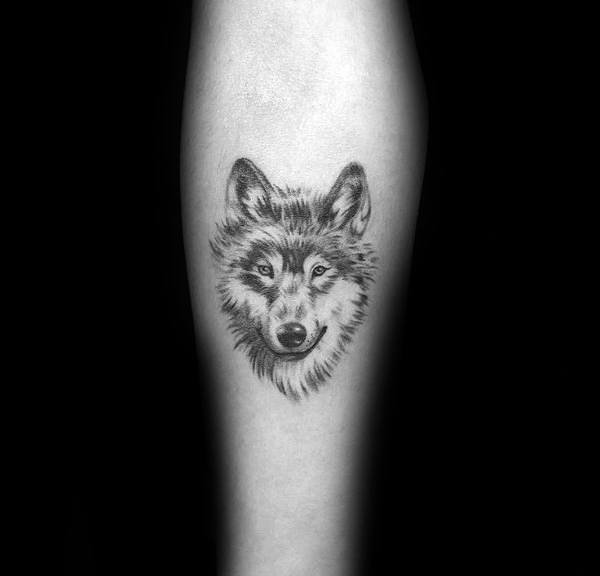 tatuaggio Siberian husky 47