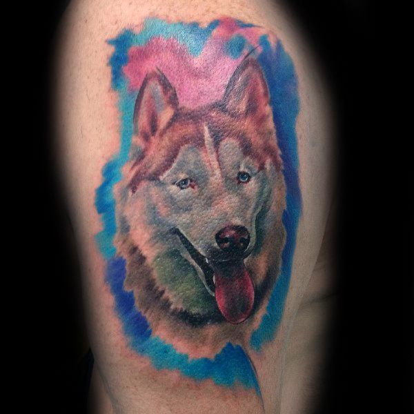 tatuaggio Siberian husky 57