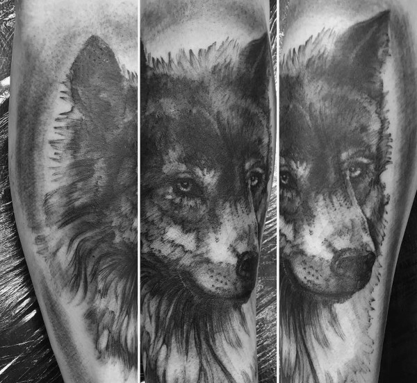 tatuaggio Siberian husky 71