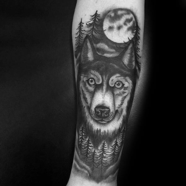 tatuaggio Siberian husky 83