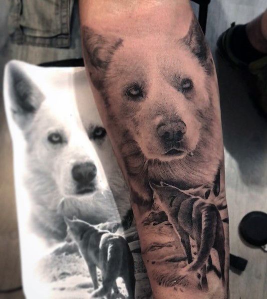 tatuaggio Siberian husky 99