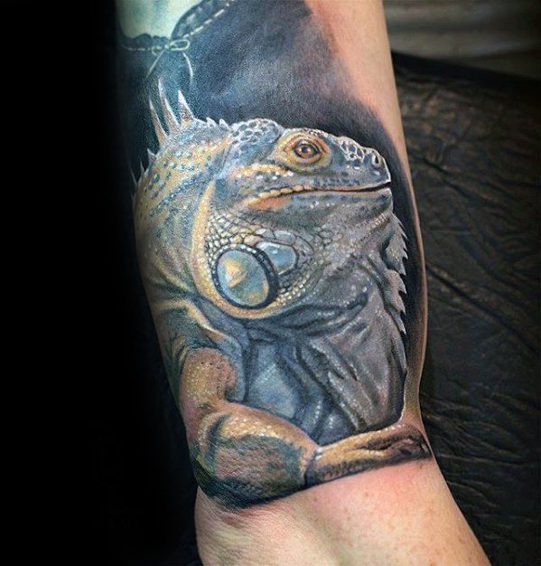 tatuaggio iguana 46