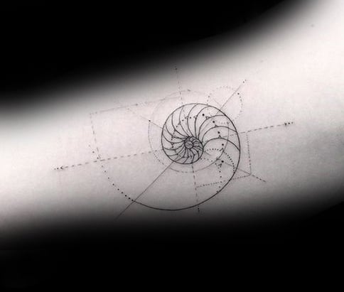 tatuaggio spirale aurea fibonacci 113