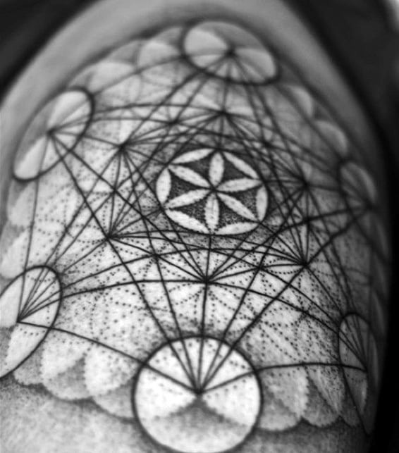 tatuaggio spirale aurea fibonacci 73