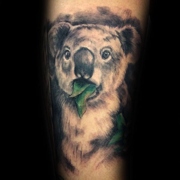 tatuaggio koala 1837