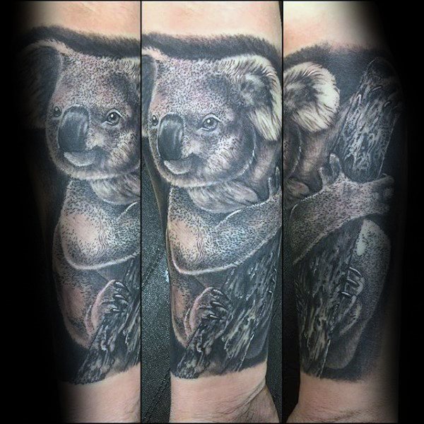tatuaggio koala 2233