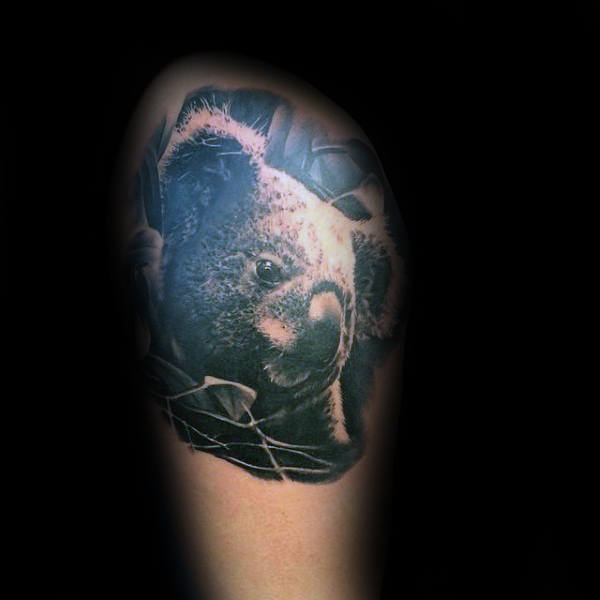 tatuaggio koala 3817