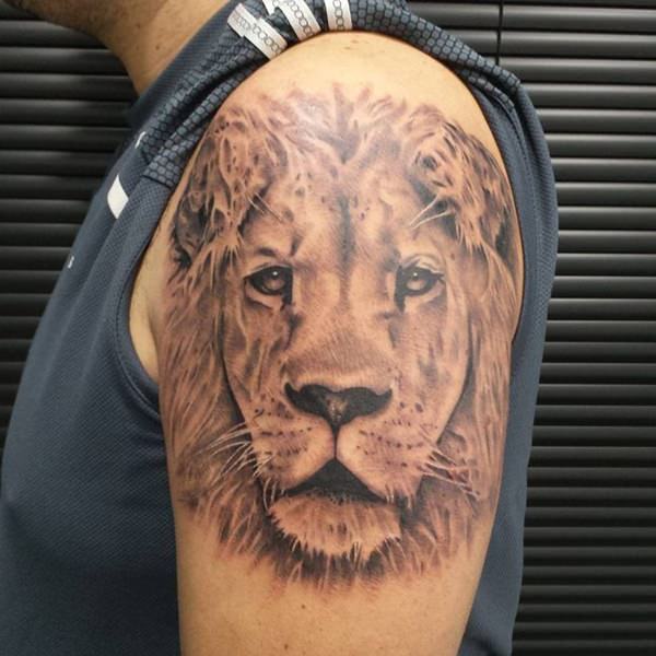 lion tattoo 184