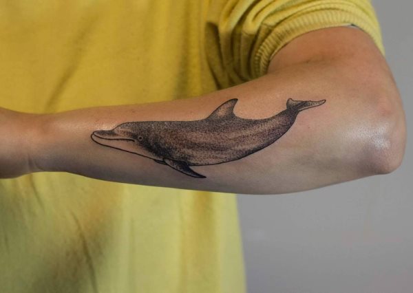 tatuaz delfin 92