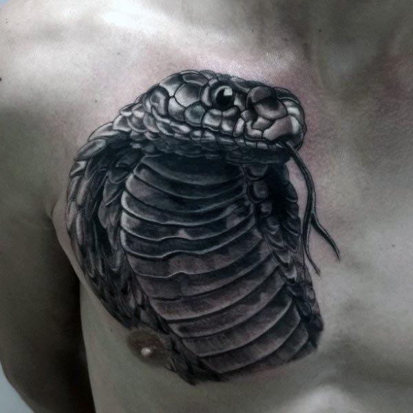 tatuaz kobra 25