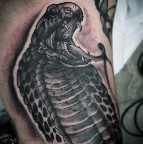 tatuaz kobra 35