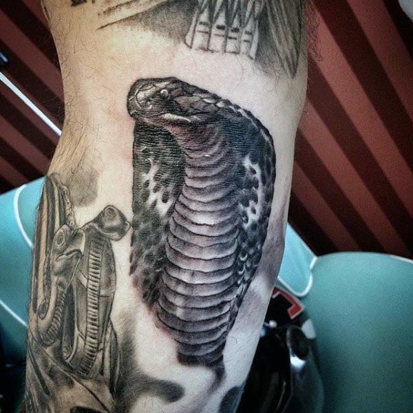 tatuaz kobra 89