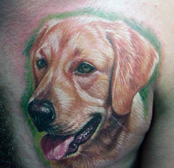 35 tatuaży z psami rasy Golden Retriever (ze znaczeniem)