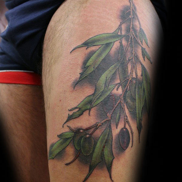 tatuaz galazka oliwna 56