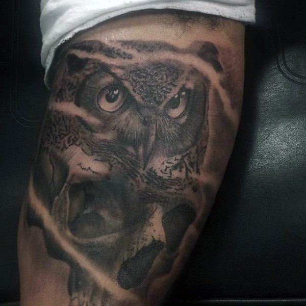 tatuagem coruja 161